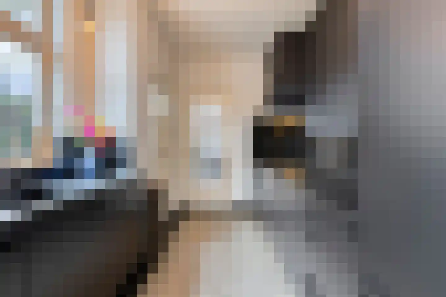 Begoniastraat 6 Eindhoven thumbnail 14