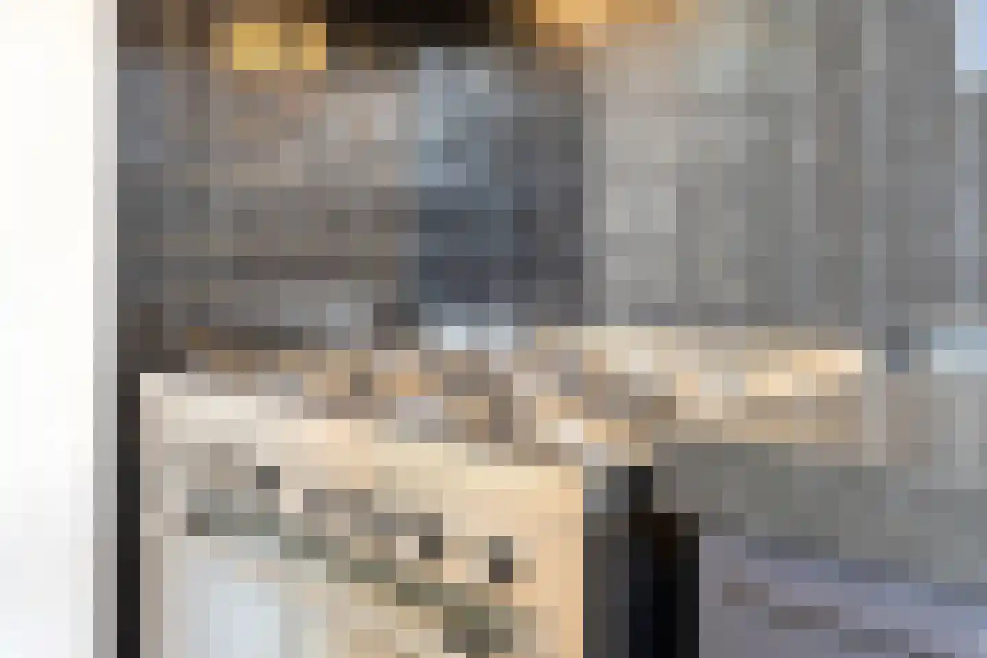 Begoniastraat 6 Eindhoven thumbnail 16