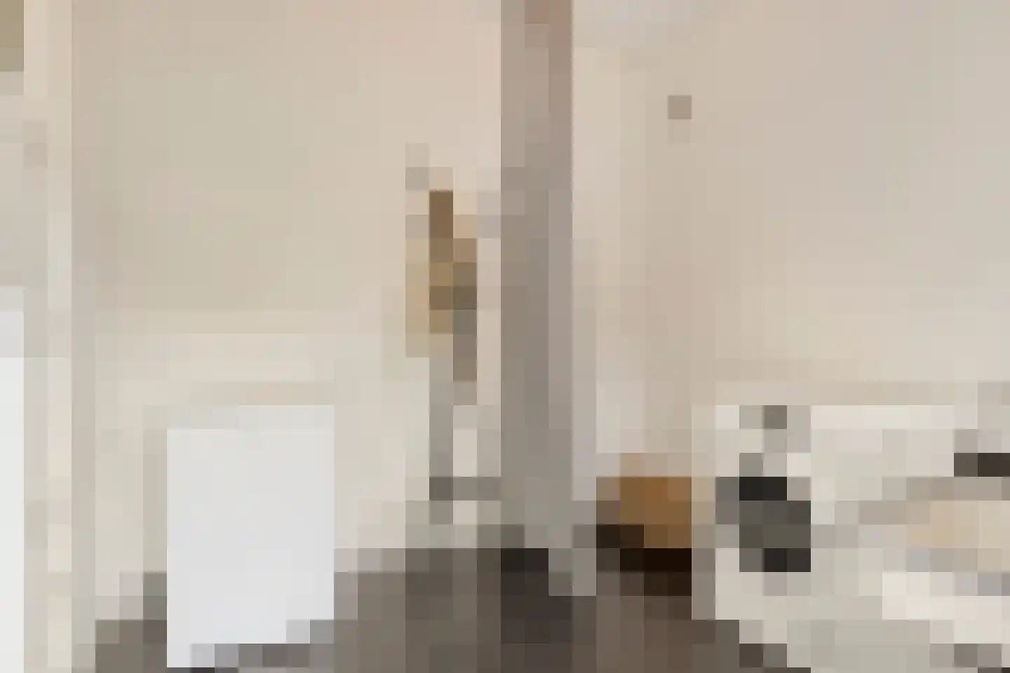Begoniastraat 6 Eindhoven thumbnail 17