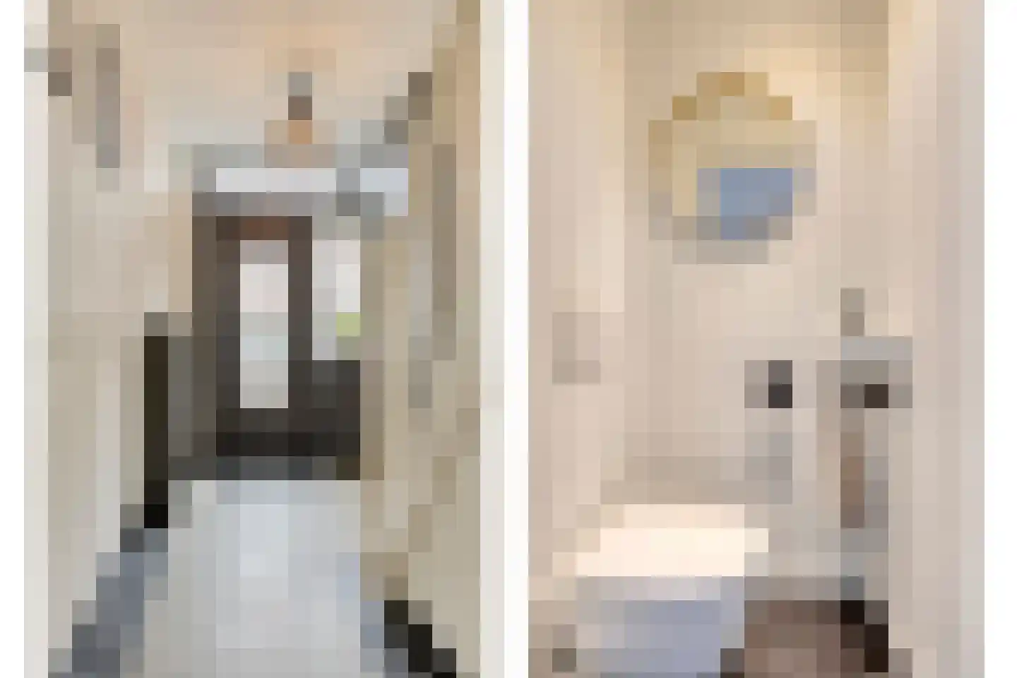 Begoniastraat 6 Eindhoven thumbnail 48