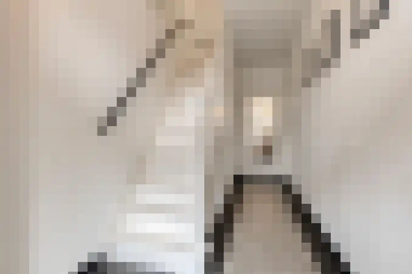 Begoniastraat 6 Eindhoven thumbnail 5