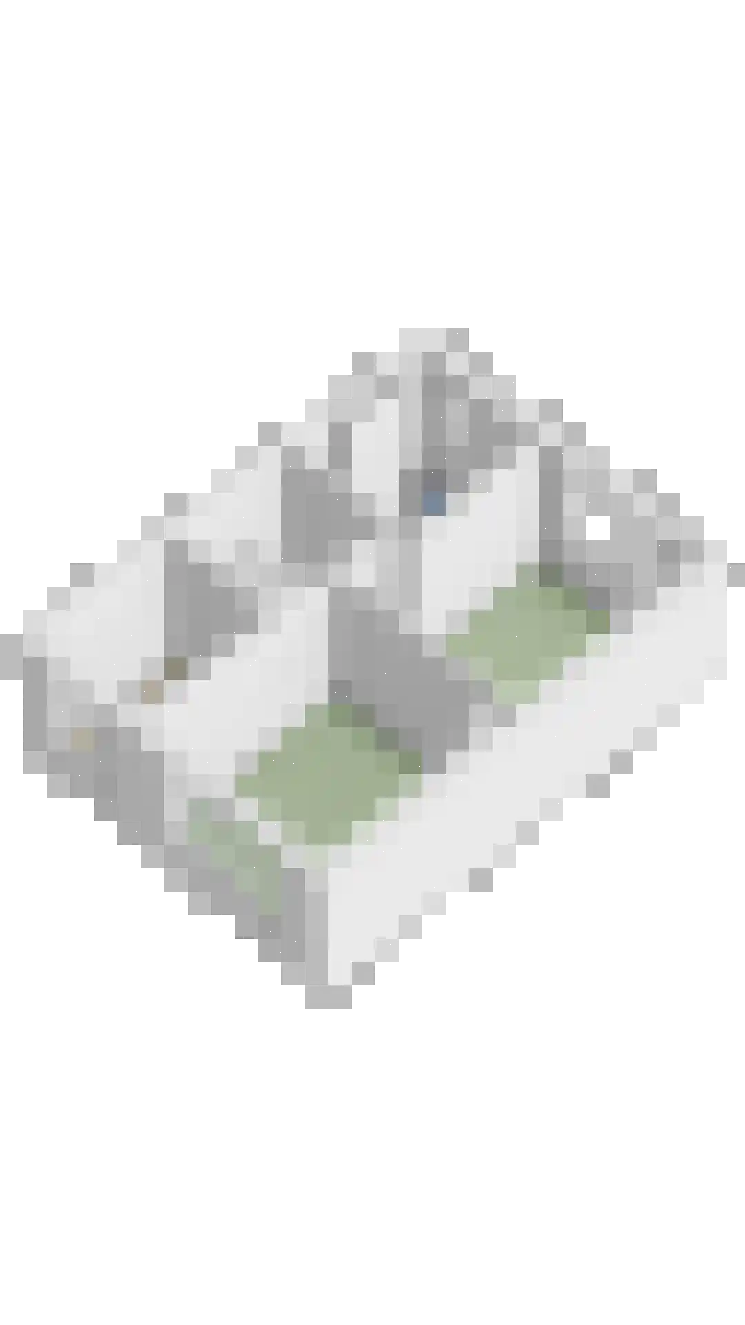 Begoniastraat 6 Eindhoven thumbnail 58