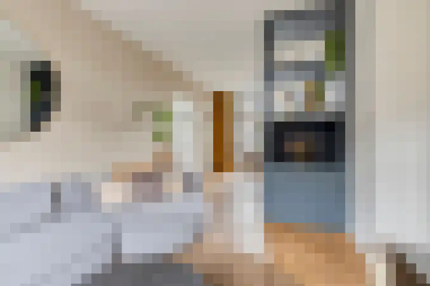 Begoniastraat 6 Eindhoven thumbnail 9