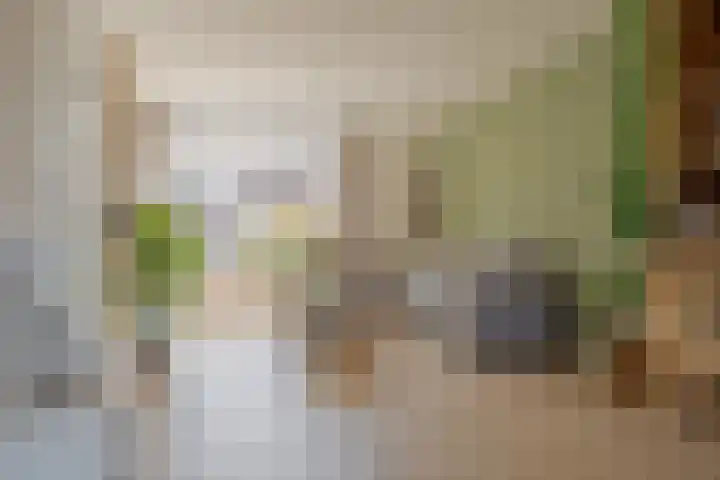 Begoniastraat 6 Hattem thumbnail 11