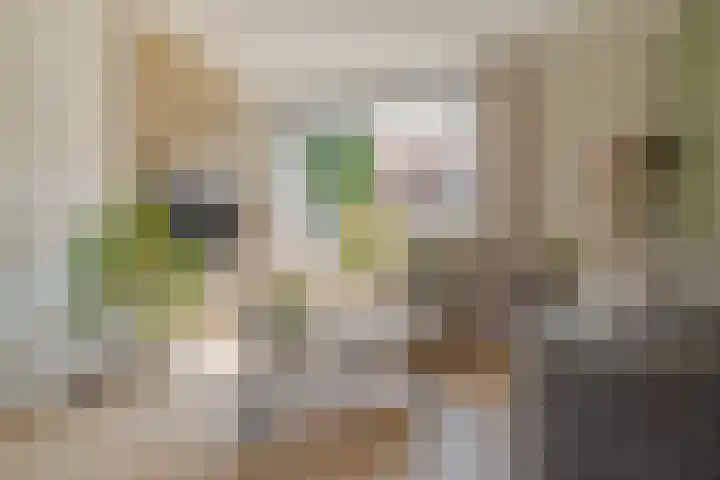 Begoniastraat 6 Hattem thumbnail 12