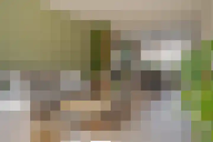 Begoniastraat 6 Hattem thumbnail 13