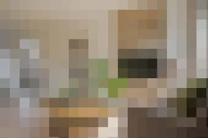 Begoniastraat 6 Hattem thumbnail 14