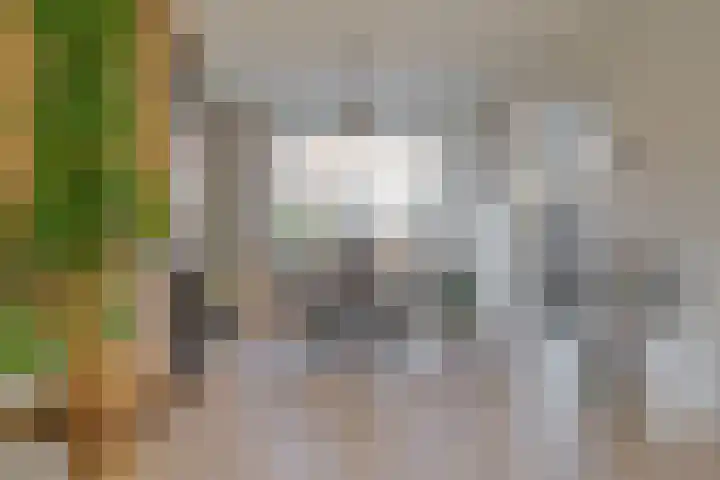 Begoniastraat 6 Hattem thumbnail 15