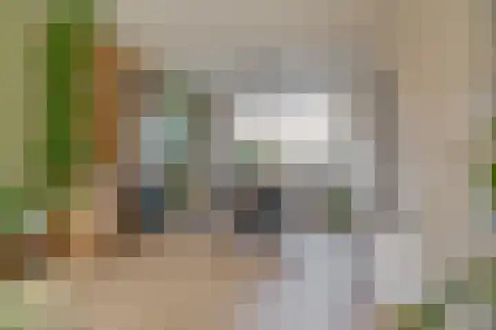 Begoniastraat 6 Hattem thumbnail 16