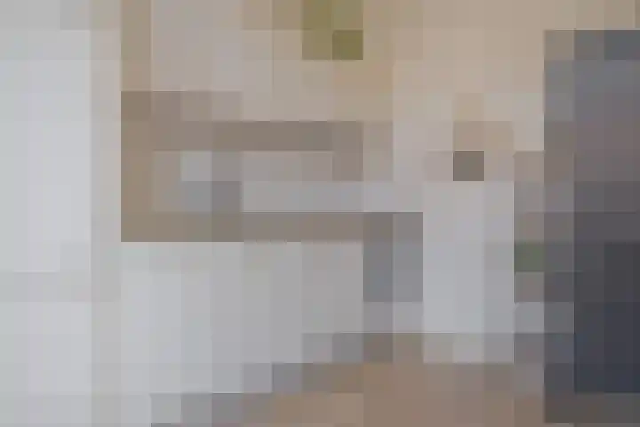 Begoniastraat 6 Hattem thumbnail 20