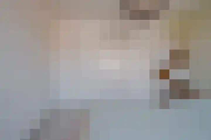 Begoniastraat 6 Hattem thumbnail 26