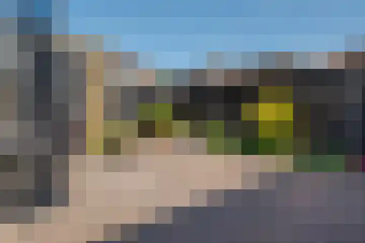 Begoniastraat 6 Hattem thumbnail 38