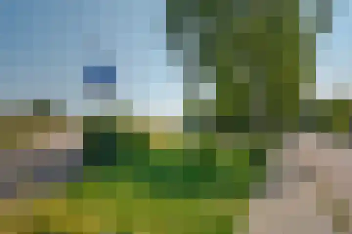 Begoniastraat 6 Hattem thumbnail 43