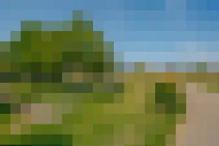 Begoniastraat 6 Hattem thumbnail 45