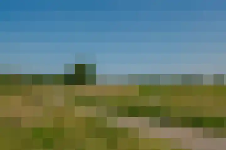 Begoniastraat 6 Hattem thumbnail 46