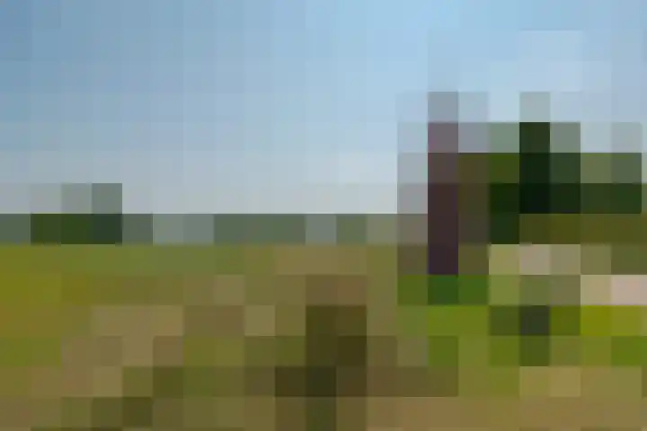 Begoniastraat 6 Hattem thumbnail 47