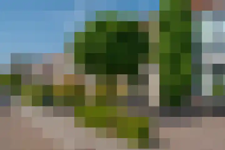Begoniastraat 6 Hattem thumbnail 6