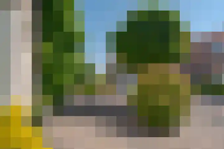 Begoniastraat 6 Hattem thumbnail 7