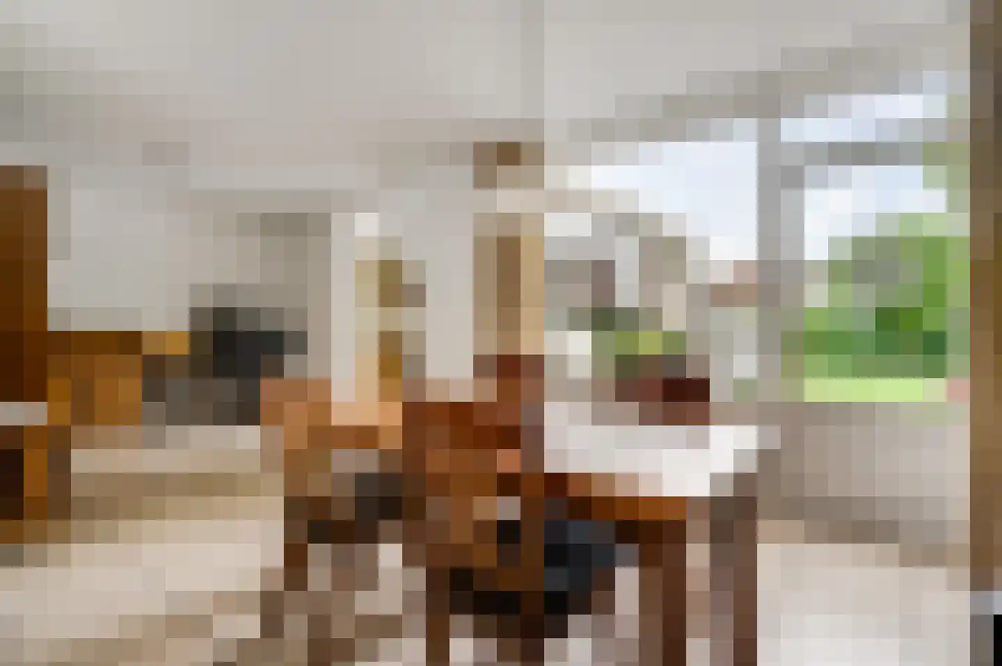 Begoniastraat 6 Ittervoort thumbnail 12