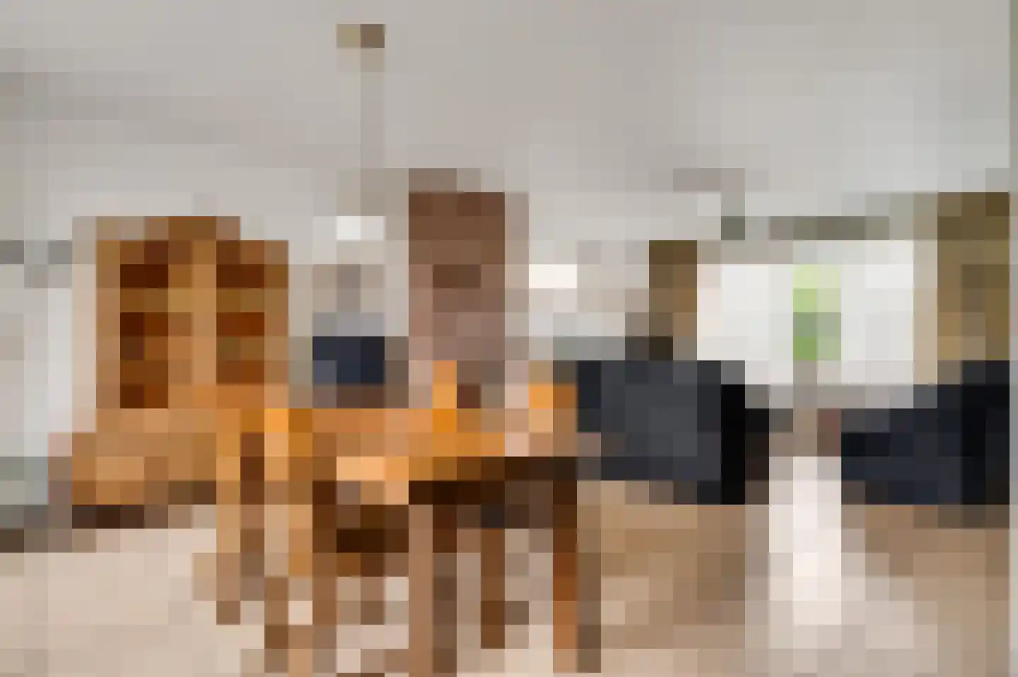 Begoniastraat 6 Ittervoort thumbnail 14