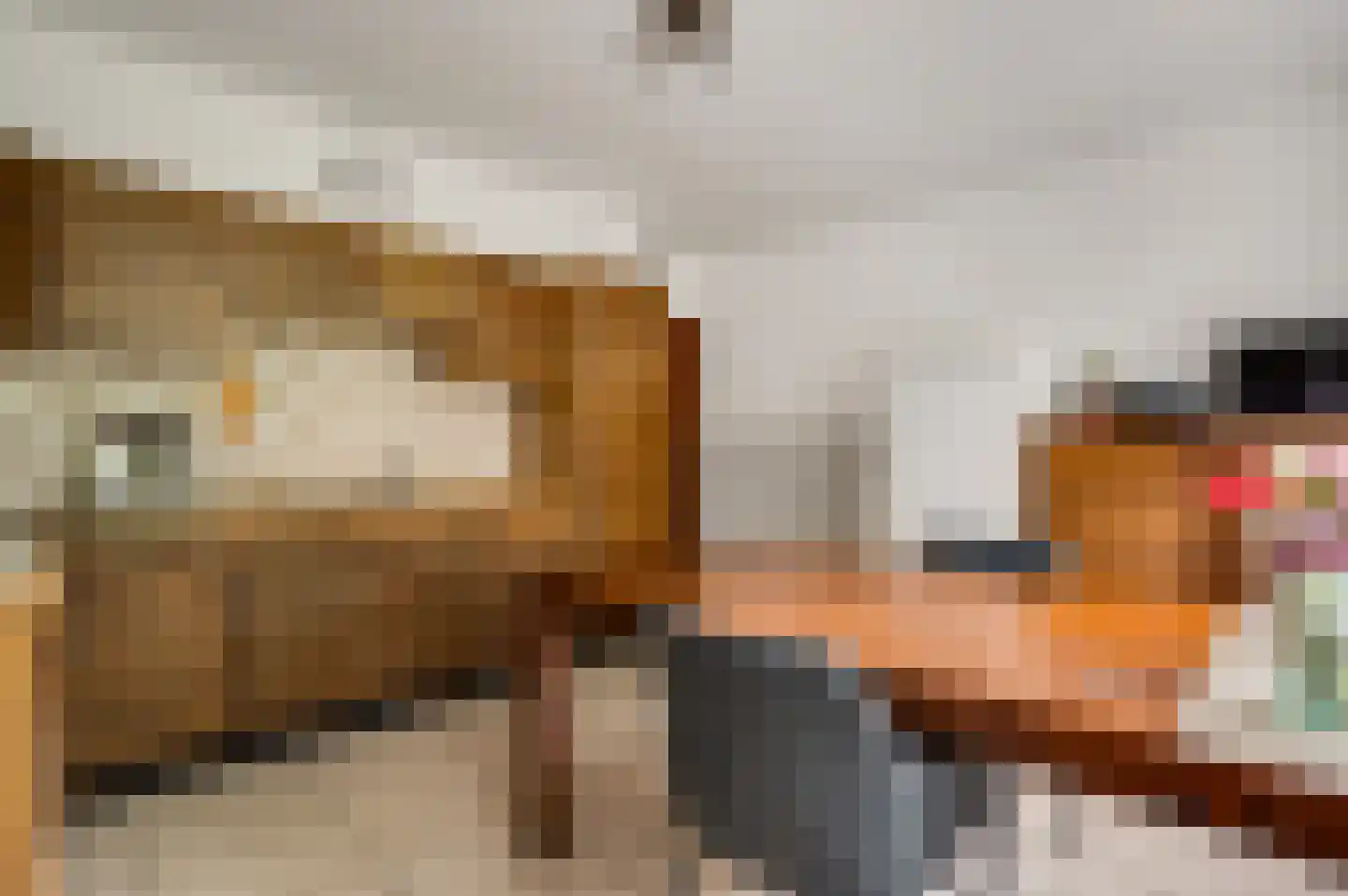 Begoniastraat 6 Ittervoort thumbnail 16