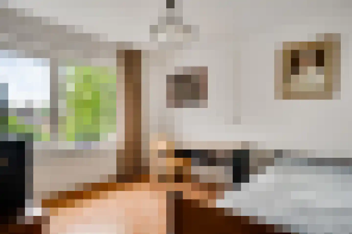 Begoniastraat 6 Ittervoort thumbnail 24