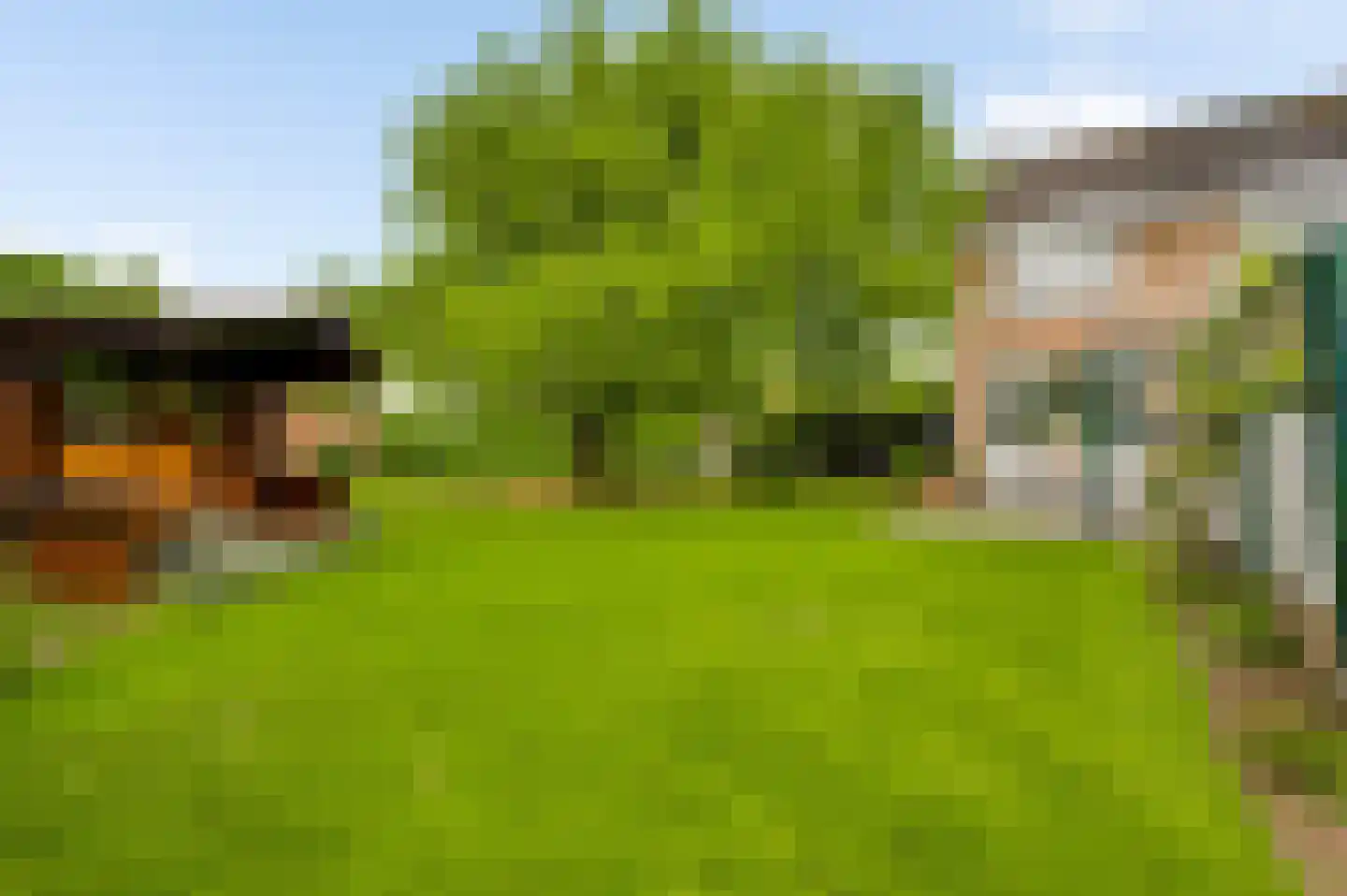 Begoniastraat 6 Ittervoort thumbnail 31
