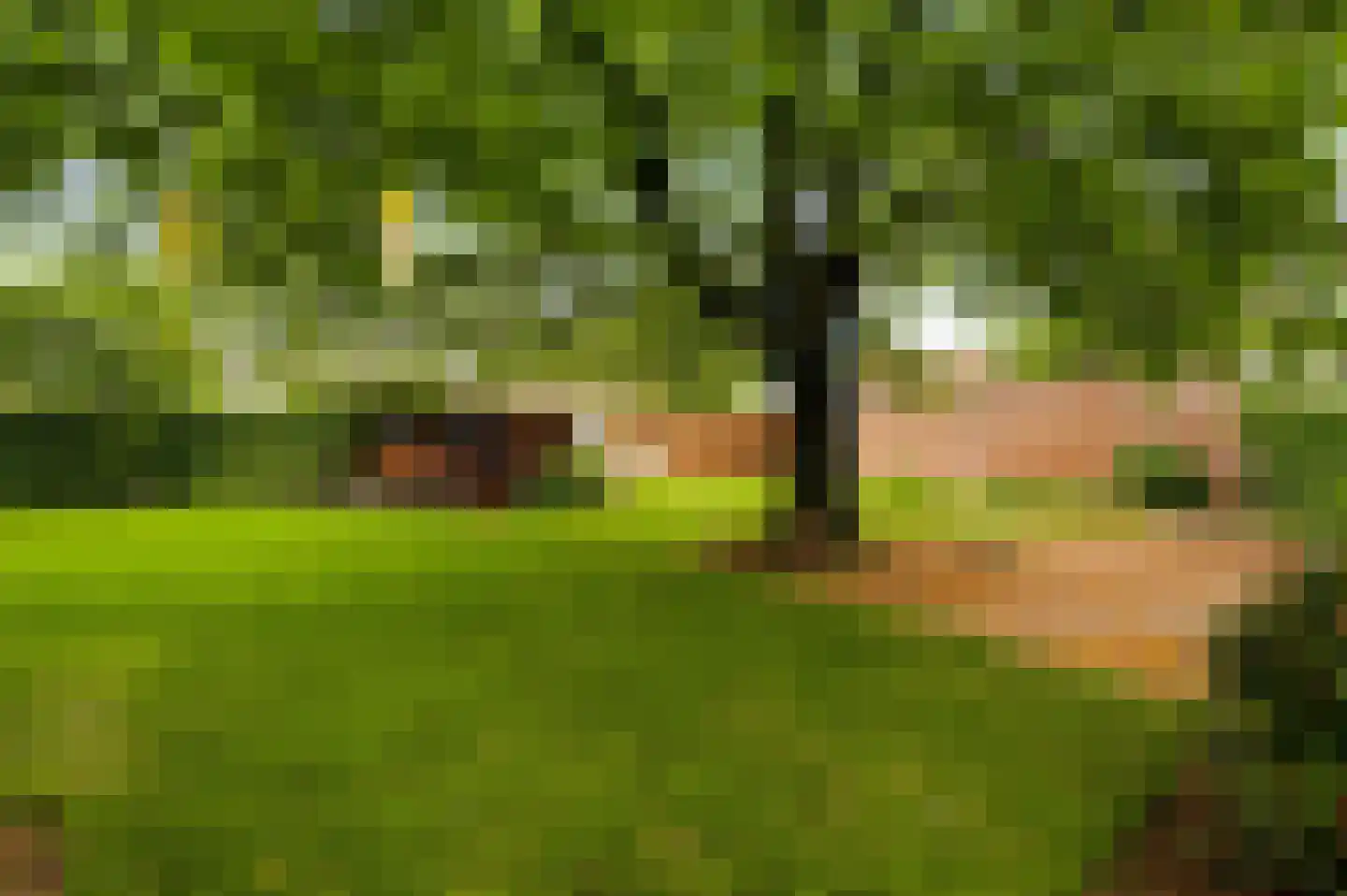 Begoniastraat 6 Ittervoort thumbnail 34