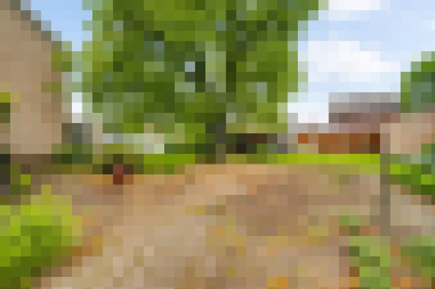 Begoniastraat 6 Ittervoort thumbnail 35