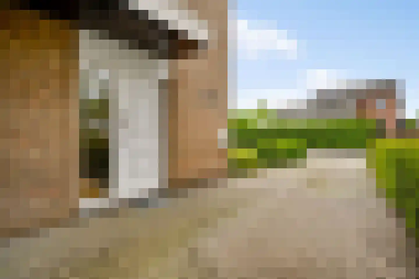 Begoniastraat 6 Ittervoort thumbnail 43
