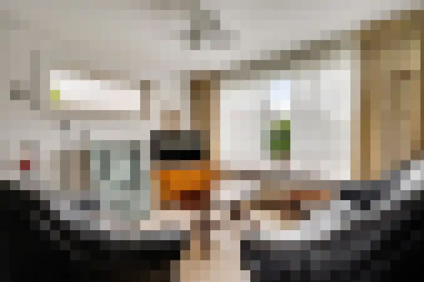Begoniastraat 6 Ittervoort thumbnail 9