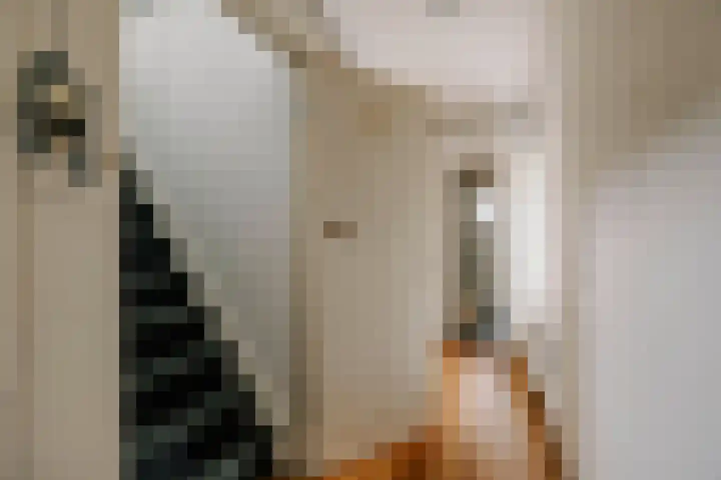 Begoniastraat 60 Hilversum thumbnail 22