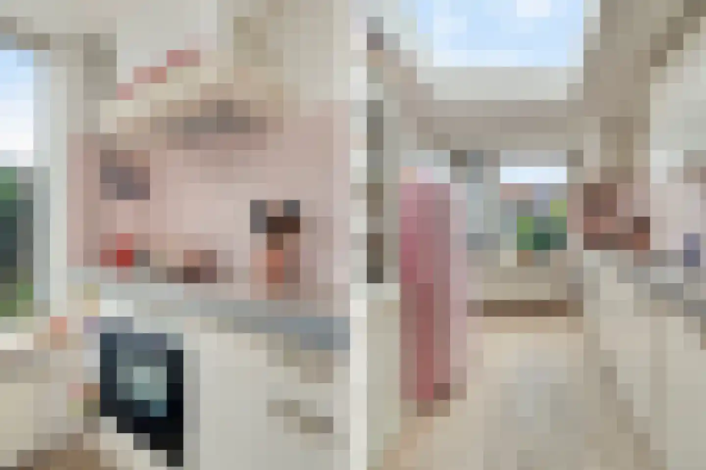 Begoniastraat 61 Den Helder thumbnail 10