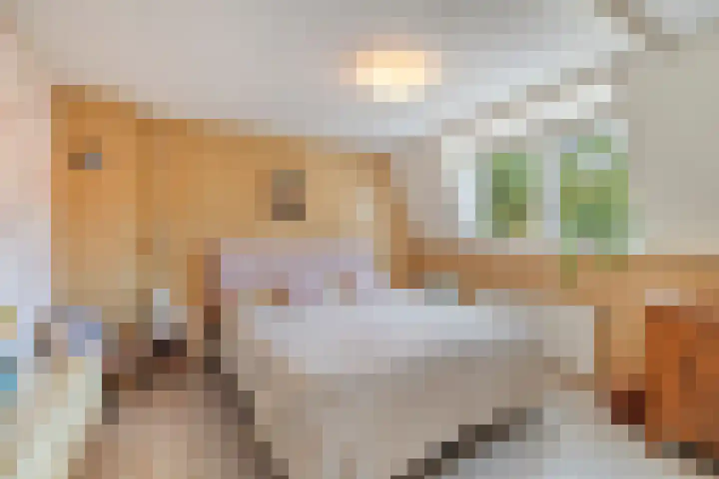 Begoniastraat 61 Den Helder thumbnail 16