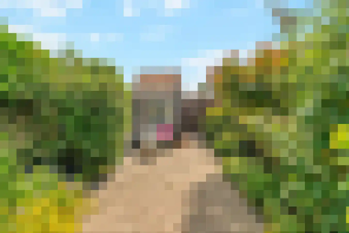 Begoniastraat 61 Den Helder thumbnail 24