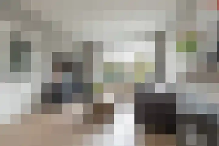Begoniastraat 61 Hoogeveen thumbnail 11