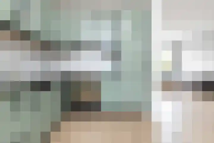 Begoniastraat 61 Hoogeveen thumbnail 17