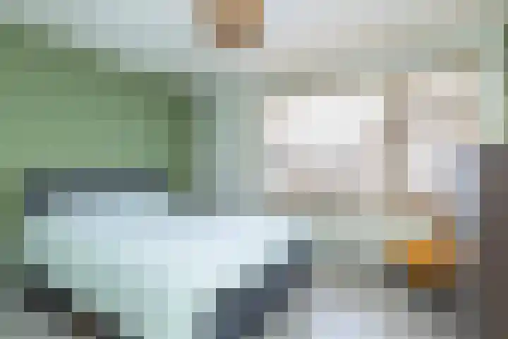 Begoniastraat 61 Hoogeveen thumbnail 24
