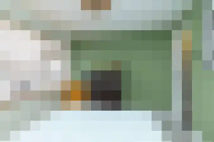 Begoniastraat 61 Hoogeveen thumbnail 26