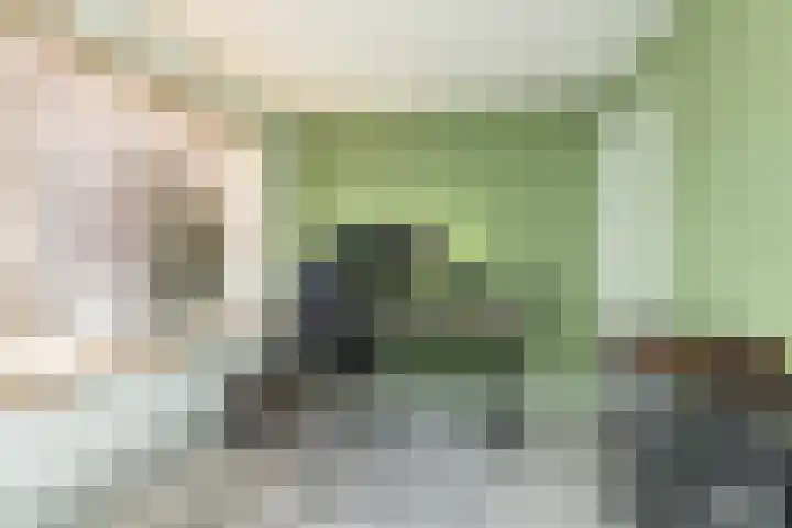 Begoniastraat 61 Hoogeveen thumbnail 28