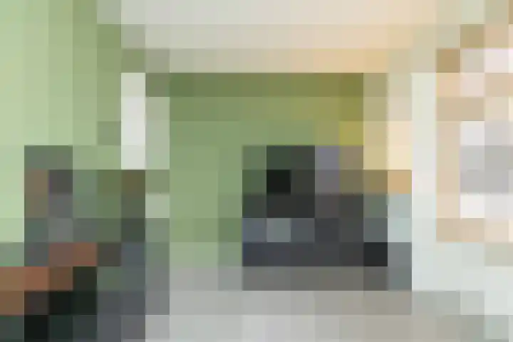Begoniastraat 61 Hoogeveen thumbnail 29