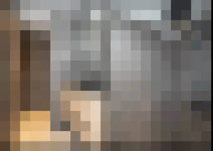 Begoniastraat 61 Hoogeveen thumbnail 34