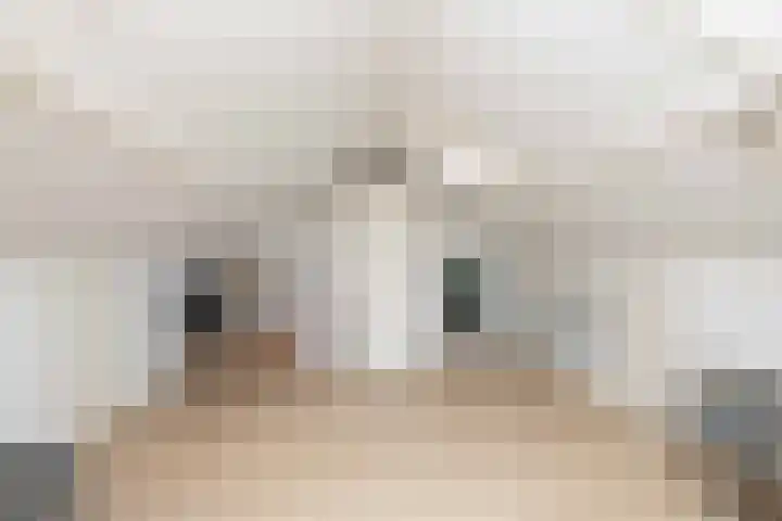 Begoniastraat 61 Hoogeveen thumbnail 37