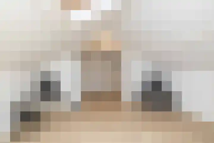 Begoniastraat 61 Hoogeveen thumbnail 38