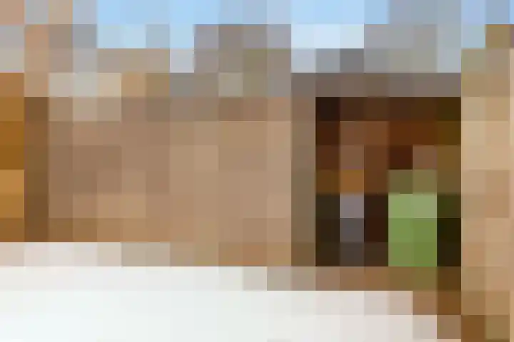 Begoniastraat 61 Hoogeveen thumbnail 50