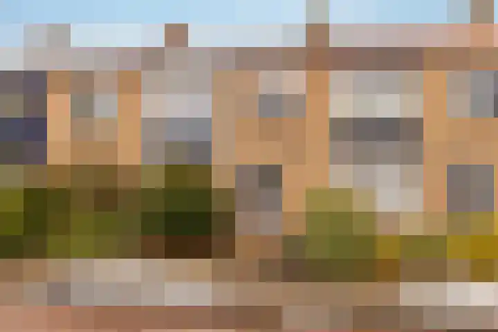 Begoniastraat 61 Hoogeveen thumbnail 53