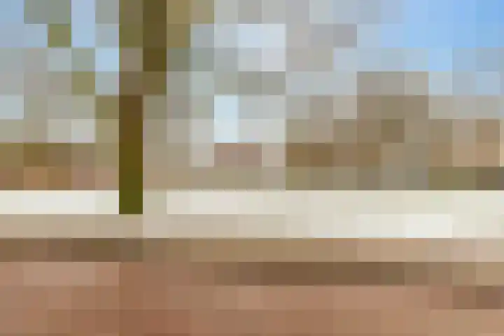 Begoniastraat 61 Hoogeveen thumbnail 55