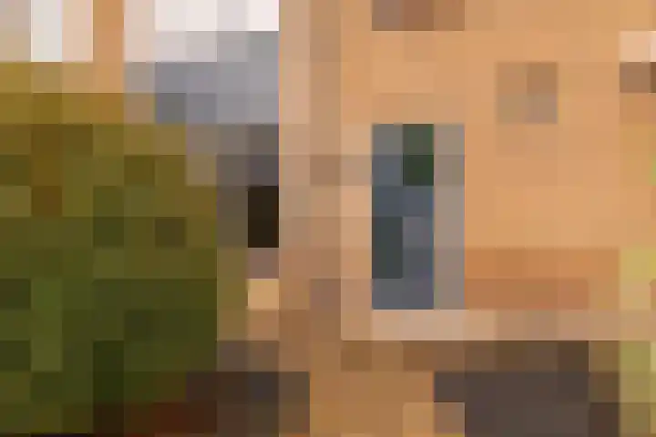 Begoniastraat 61 Hoogeveen thumbnail 6