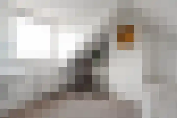 Begoniastraat 66 Den Helder thumbnail 24