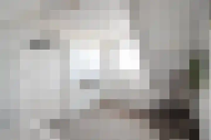 Begoniastraat 66 Den Helder thumbnail 25